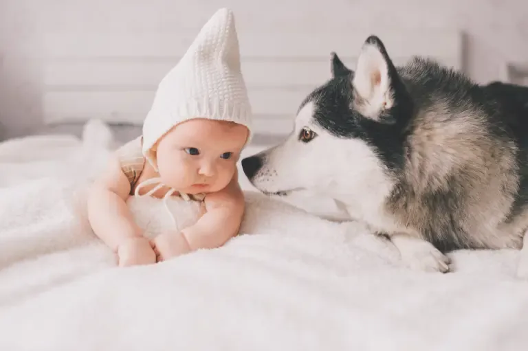 DeeLab Case Study. Baby and dog looking at each other, representing the variety of sounds (like baby noises and dog barks) captured in audio data for AI training.