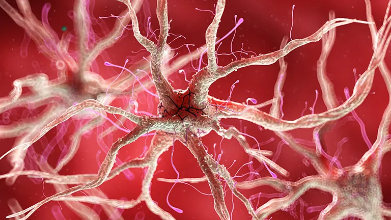 DeeLab, Machine Learning, Deep Learning, 3d rendered medically accurate illustration of a healthy human nervous cell.
