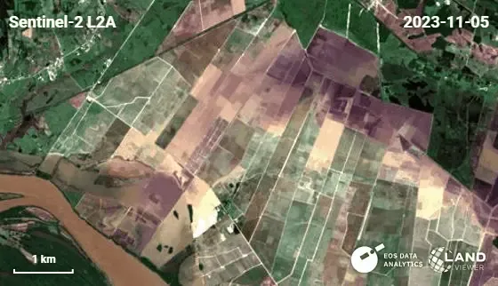 Multispectral satellite image showing flooding dynamics in Brazil.