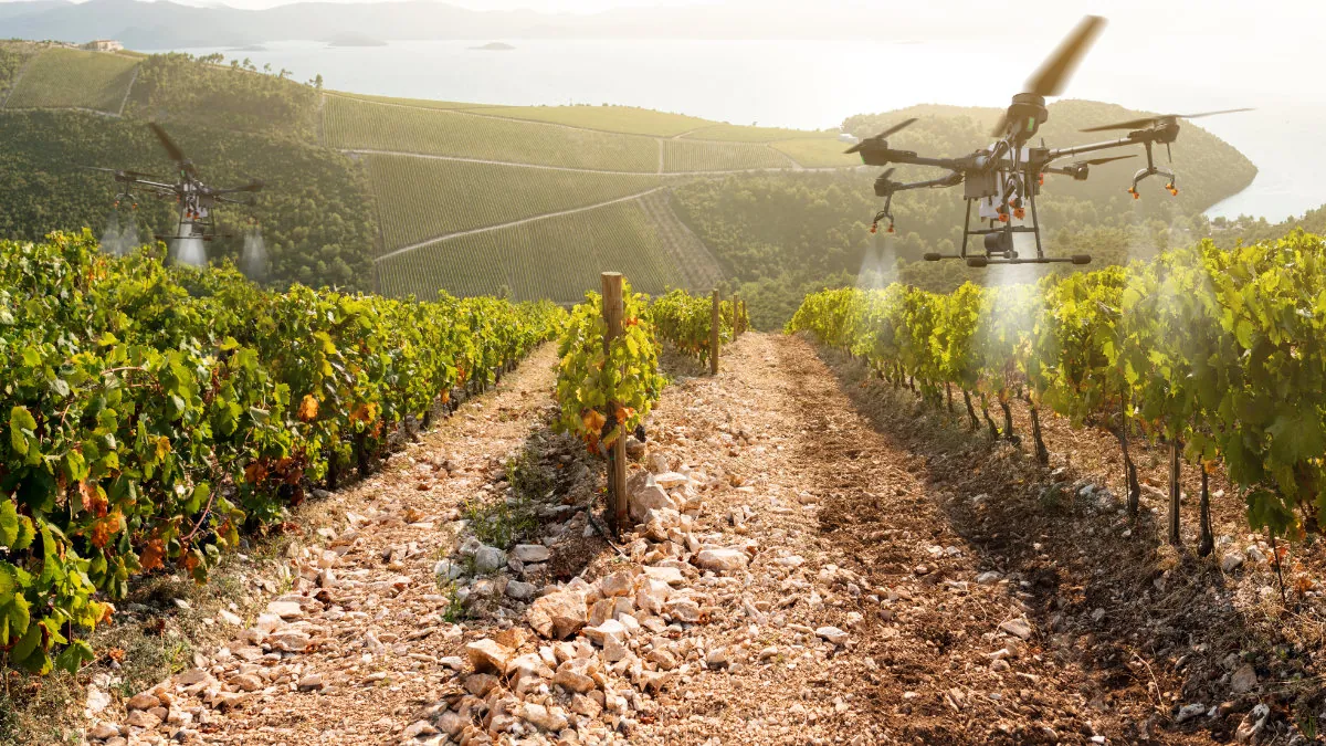 Turning Fields into Intelligent Systems