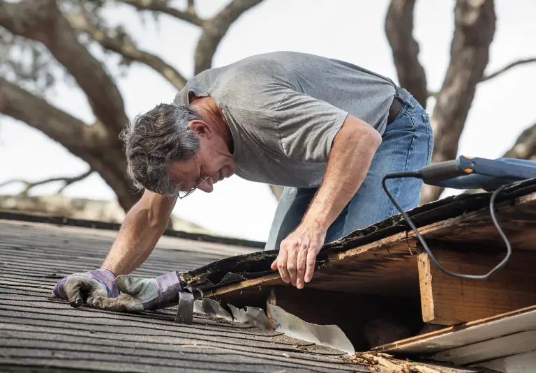 Man examining and repairing a leaking roof, focusing on fixing rotten and damaged sections. DeeLab.ai, Data Annotation.