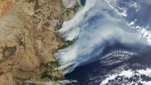 Wildfires in New South Wales, Australia seen from space in November 2019.