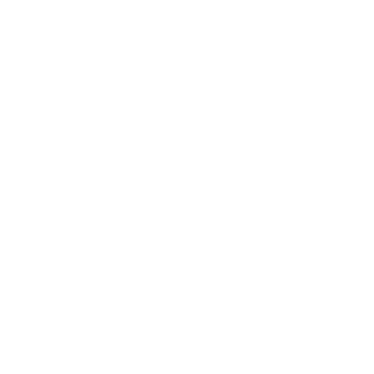 deelab academy logo white