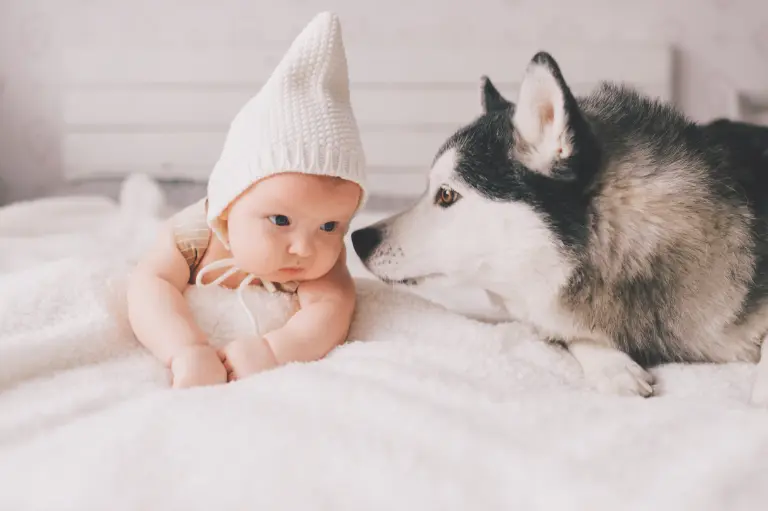 DeeLab Case Study. Baby and dog looking at each other, representing the variety of sounds—like baby noises and dog barks—captured in audio data for AI training.