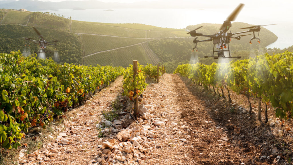 Drone sprayers operating over a vineyard, guided by AI systems trained on annotated aerial imagery for precision agriculture.